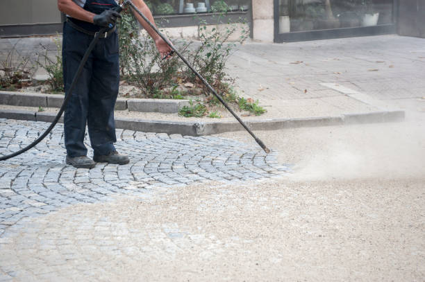 Best Driveway Pressure Washing  in Albion, IN