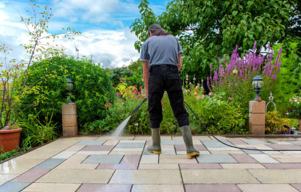 Best Fence Cleaning  in Albion, IN